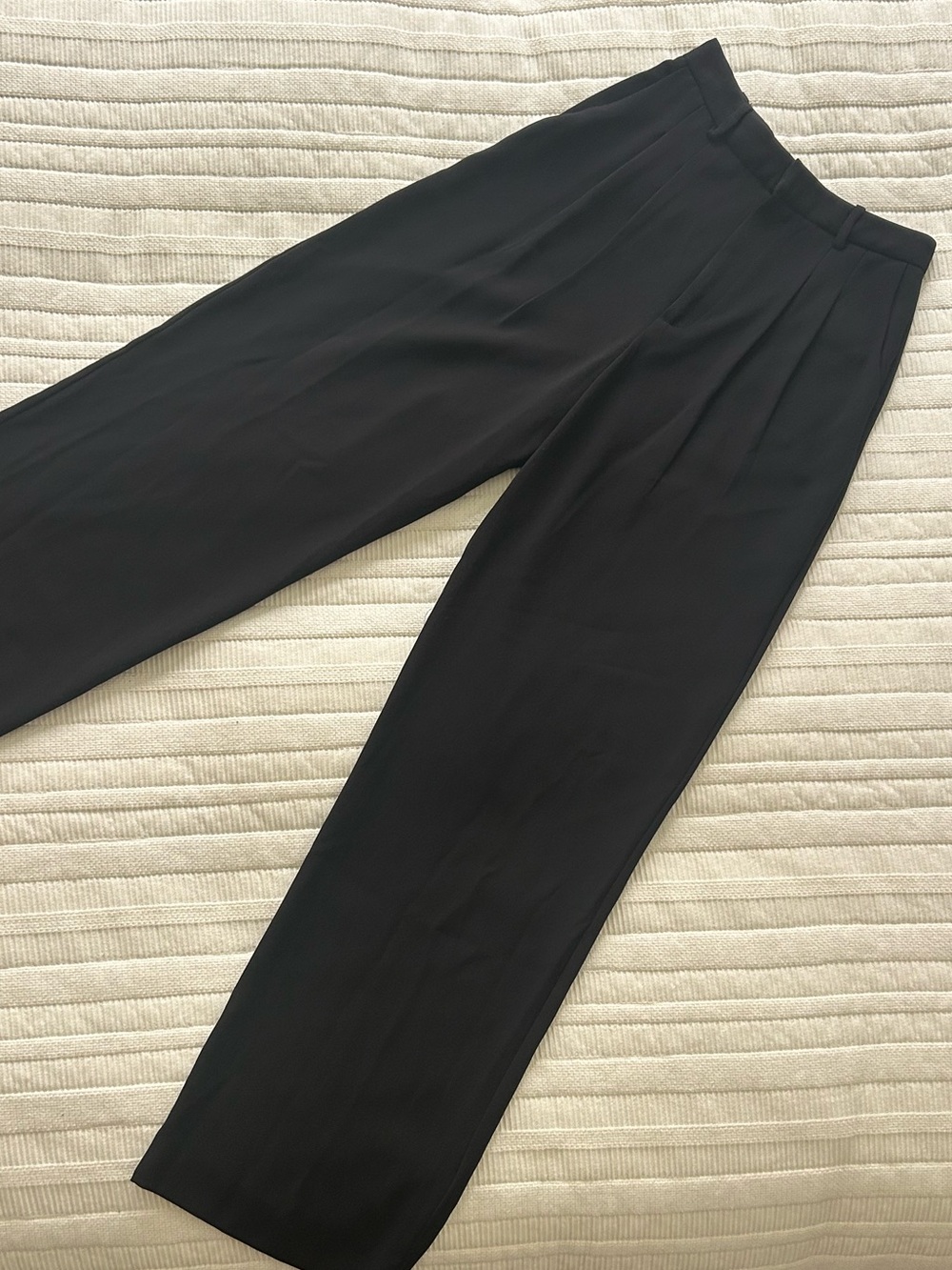 NWT Pleated Trousers